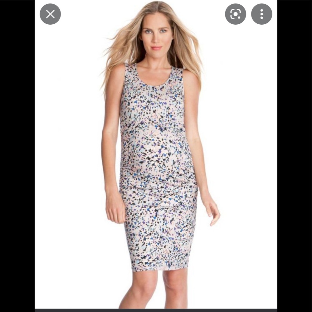 Seraphine Maternity gray floral cotton dress size 4